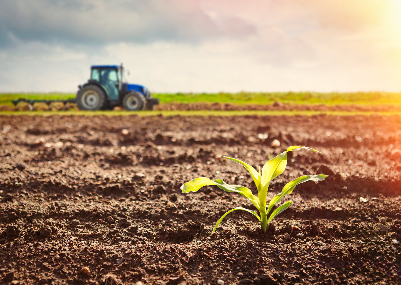 This late-year step to radically transform soil health