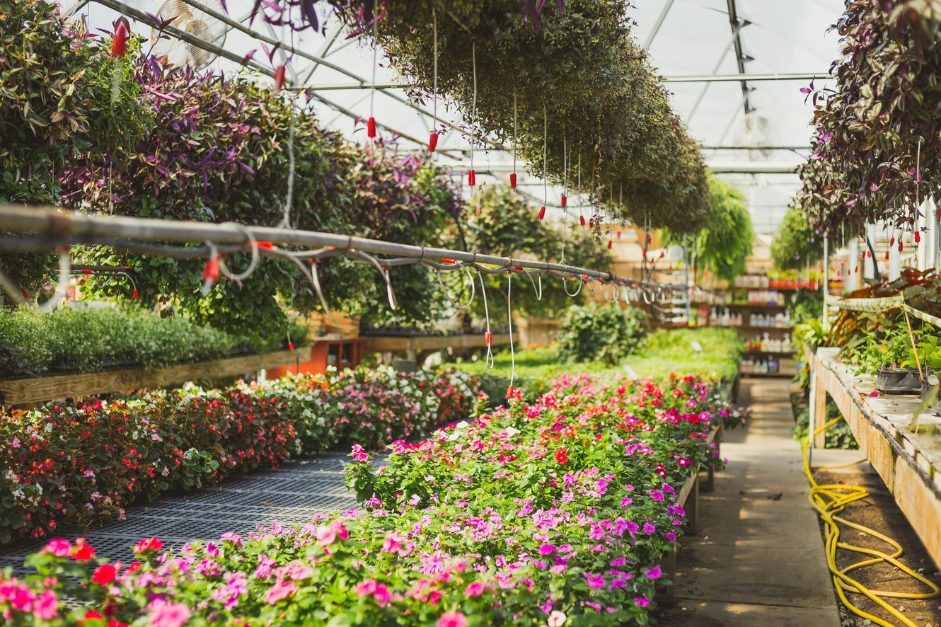7 Benefits of Supersoil for Flowers