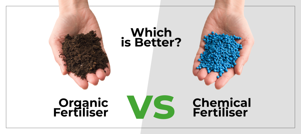 Plant performance, yield, and crop quality