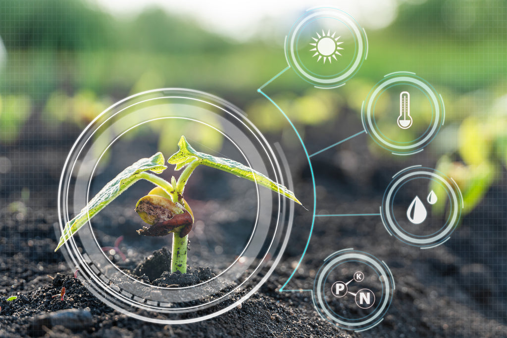 A Farmer's Solution to Nitrate Regulation Pressure: Harnessing the Power of Supersoil