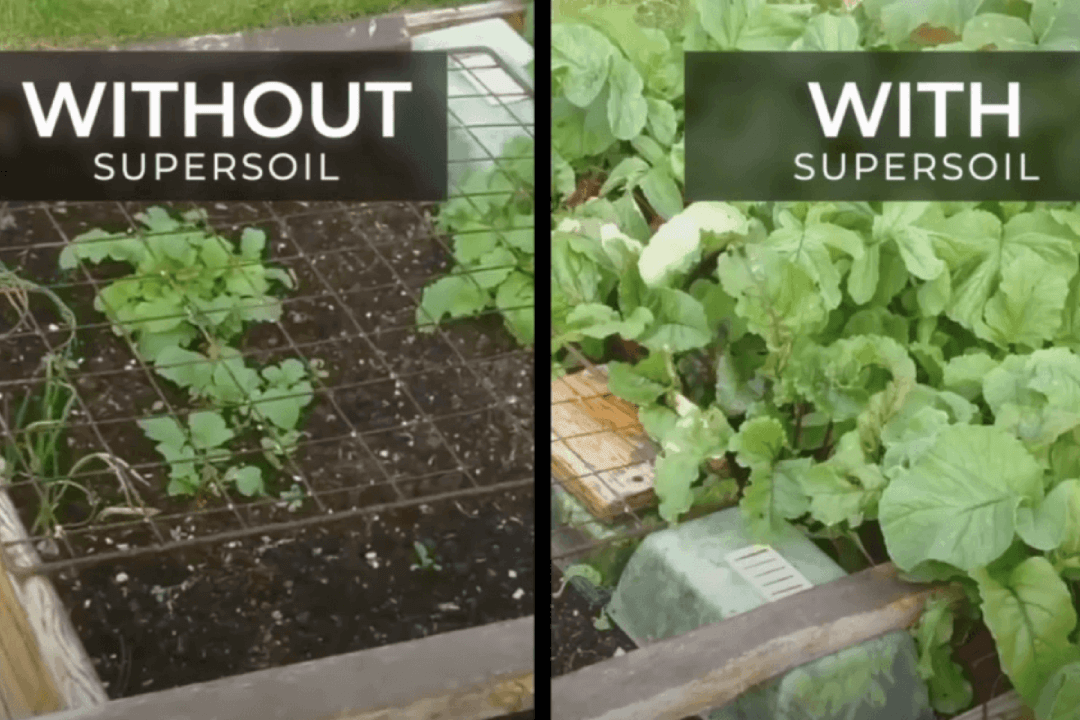 Supersoil Max Strength 10 KG