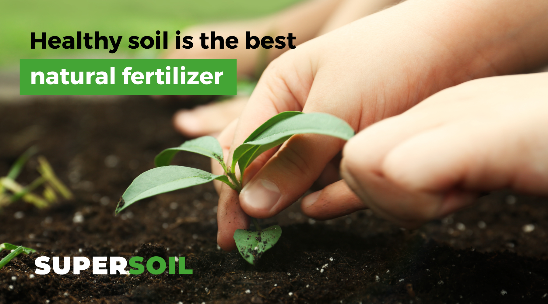 Healthy Soil Is The Best Natural Fertilizer – Supersoil