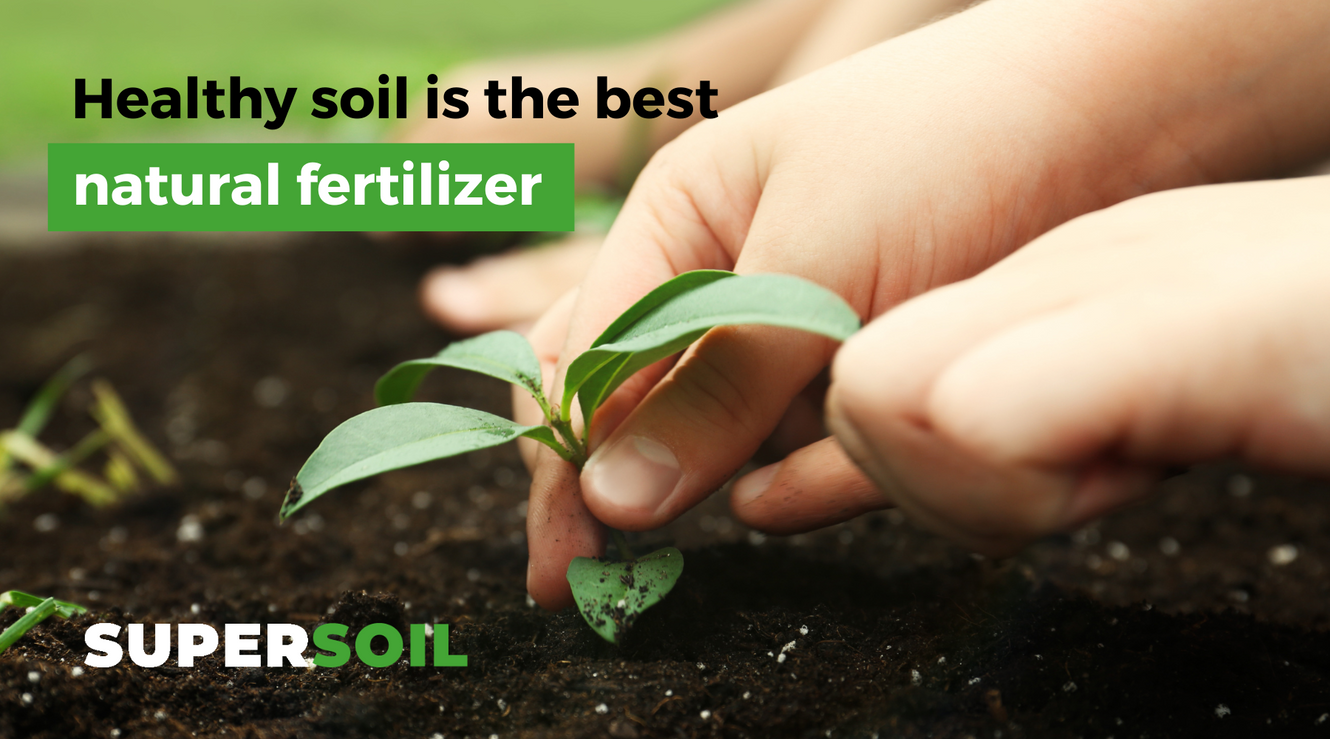 Healthy Soil Is The Best Natural Fertilizer