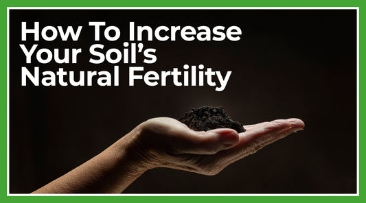 How To Increase Your Soil's Natural Fertility
