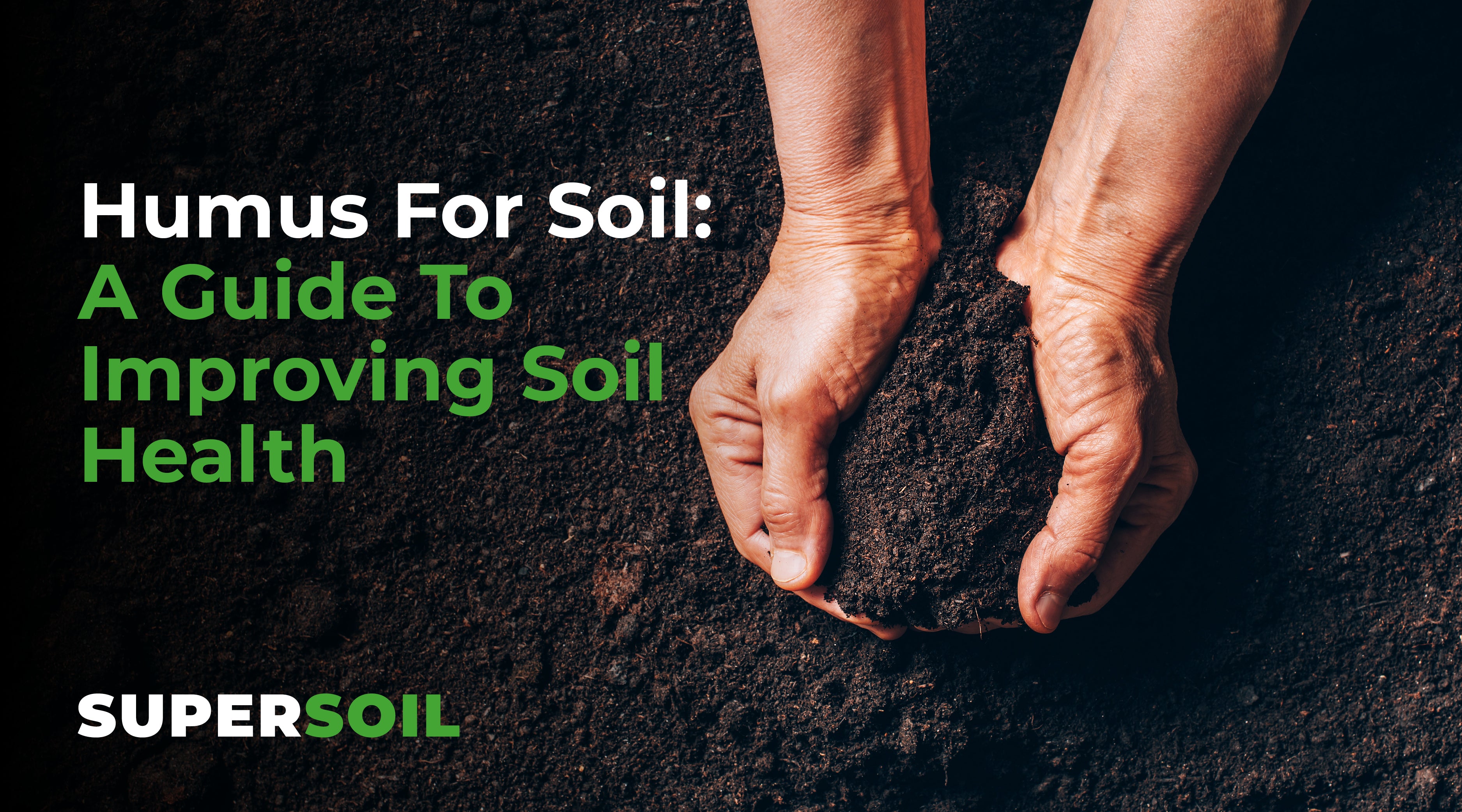 Humus For Soil: Your Guide To Improving Soil Health – Supersoil