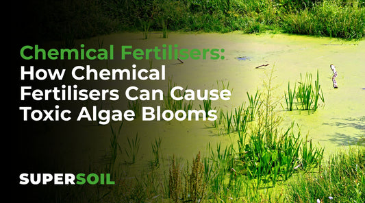 How Chemical Fertilisers Contribute To The Production Of Toxic Algae Blooms