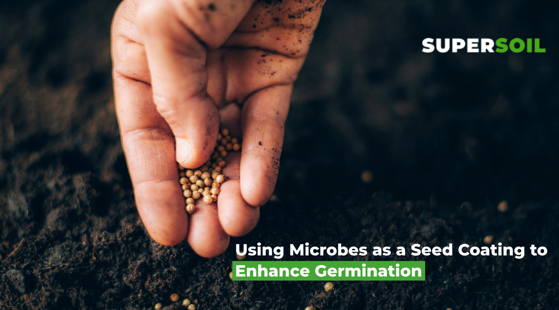 Using Microbes as a Seed Coating to Enhance Germination – Supersoil