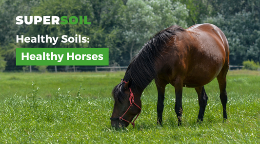 Healthy Soils - Healthy Horses