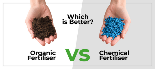 Organic Fertiliser vs. Chemical Fertiliser : What you need to know