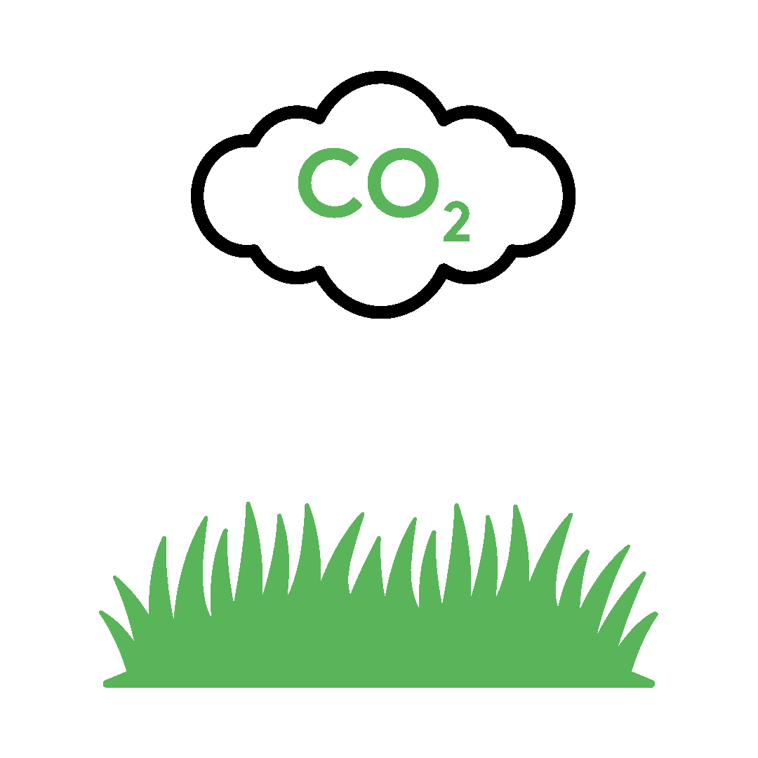 Supersoil For Environmentalists Supersoil The World's Best Fertiliser