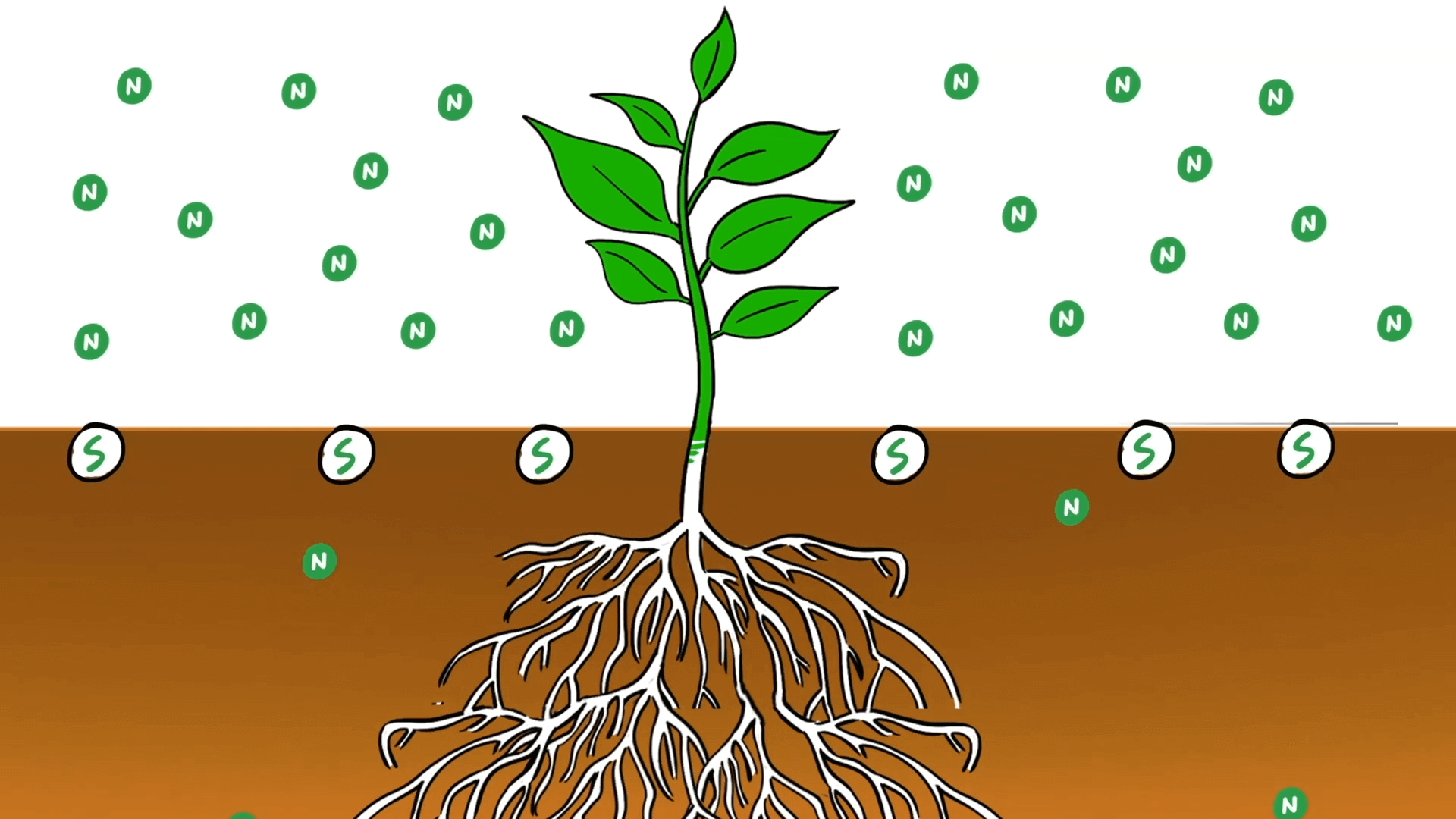 How Supersoil Works